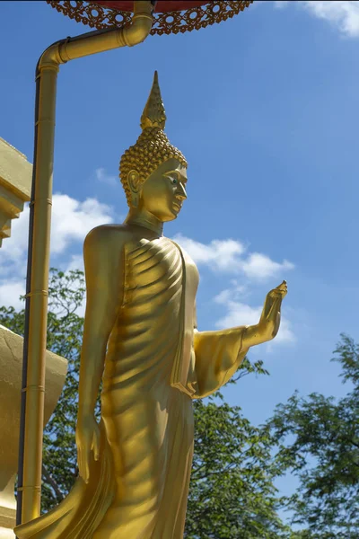 Buddha Heykeli Buddha Tayland Pagoda Tapınağında Yürüyüş — Stok fotoğraf