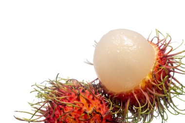 Beyaz arka planda yerel meyveler.