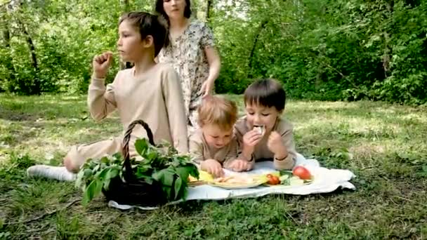 Mamá y tres hijos el fin de semana en un picnic en el parque . — Vídeo de stock