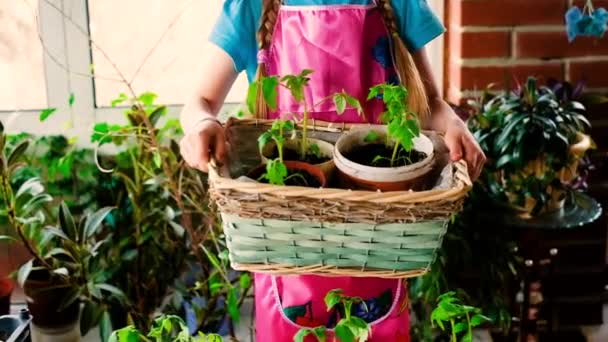 Γλυκό κοριτσάκι κηπουρός με γάντια. Δουλεύει με σπορόφυτα. Στη βεράντα, στο θερμοκήπιο, στον κήπο, στο σπίτι. 5-7 ετών. — Αρχείο Βίντεο