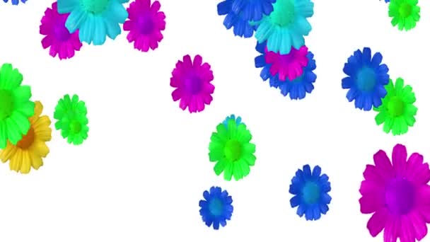 Wygenerowana animacja kolorowych kwiatów na białym tle. Kwiaty, zmiana rozmiaru. Upadek z góry. — Wideo stockowe