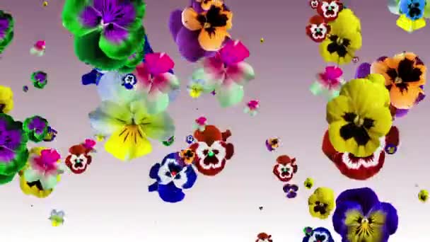 Animation von bunten Stiefmütterchen Blumen auf einem Farbverlauf Hintergrund erzeugt wird. — Stockvideo