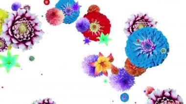 Çiçeklerin ve zambak yapraklarının animasyonu, beyaz arka planda zinnia dahlia. yeniden boyutlandır.