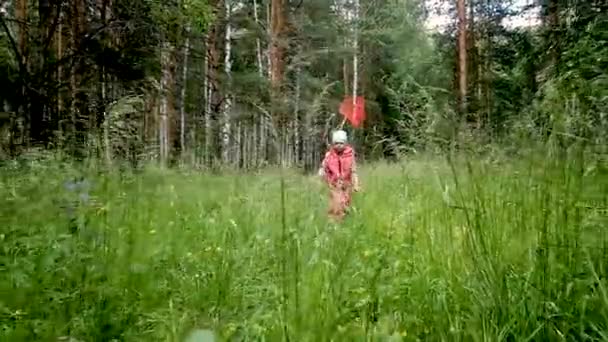 Маленька дівчинка 6 років біжить на зеленому газоні з квітами. тримає сітку для ловлі комах. Безтурботний концепт дитинства. літня прогулянка на природі. в лісі . — стокове відео