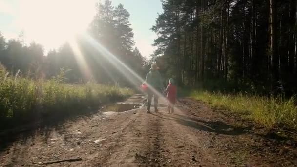 Kelebek ağıyla 6 yaşında küçük bir kız. Güneşli bir günde annemle yürümek. Ormanda yaz günü Hafta sonu doğada. Temiz havada hem de. Arka plan — Stok video