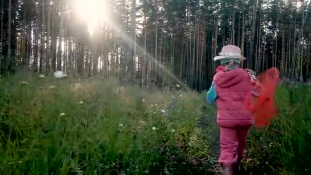 Menina 6 anos está correndo em um gramado verde de flores. está segurando uma rede para capturar insetos. Conceito de infância despreocupado. passeio de verão na natureza. na floresta — Vídeo de Stock