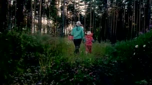 Menina 6 anos com uma rede de borboleta. Caminhe num dia ensolarado com a mãe. dia de verão na floresta Fim de semana na natureza. ao ar livre. Visão traseira — Vídeo de Stock