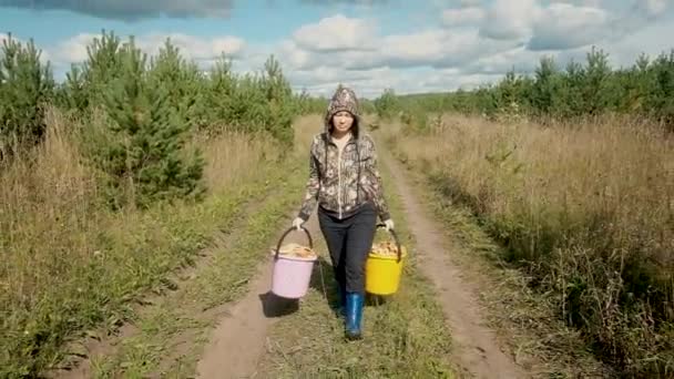 Mujer caminando con cubos llenos de setas. ... Caminar en el bosque de otoño. Concepto de comida saludable. Hobby. Al aire libre. Fin de semana activo — Vídeo de stock