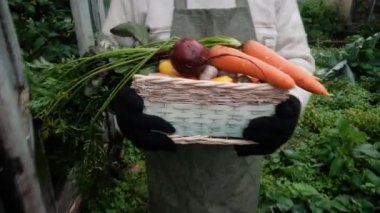Çiftçi yaşlı bir adam. Bir sepet sebze hasadı taşıyor..
