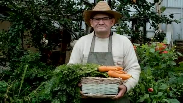 Farmář je starší 60 let. Nosí košík s mrkví. — Stock video