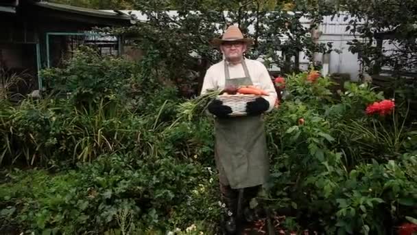 Bonden är en äldre man. Bär en korg med en skörd av grönsaker. — Stockvideo