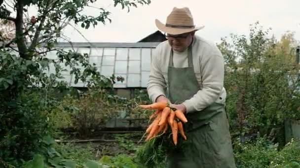 Фермер, літня людина, тримає біологічний органічний морквяний продукт . — стокове відео