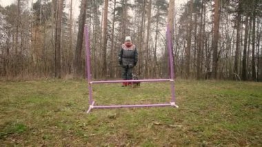 Yaşlı kadın parkta bir köpeği eğitiyor. Köpek zıplıyor