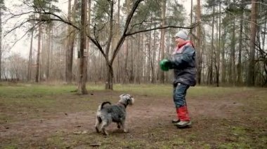Parkta köpek eğiten yaşlı bir kadın. Top oynarken iyi eğlenceler.