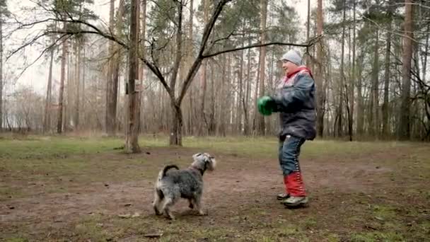 Donna anziana che allena un cane nel parco. divertiti a giocare a palla — Video Stock