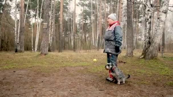 Wanita tua melatih anjing di taman. Nyonya rumah memberikan berbagai perintah. — Stok Video