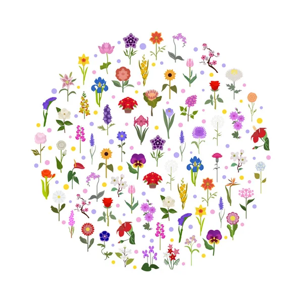 Ihr Gartenführer Top Der Beliebtesten Blumen Infografik Vektorillustration — Stockvektor