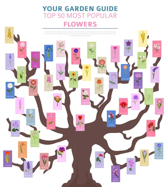 Ihr Gartenführer Top Der Beliebtesten Blumen Infografik Vektorillustration — Stockvektor