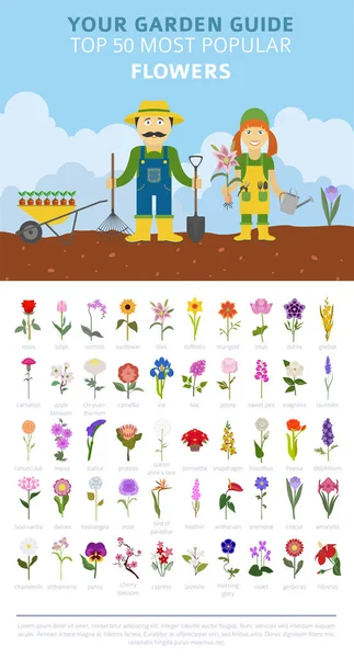 Tuin Gids Top Populairste Bloemen Infographic Vectorillustratie — Stockvector