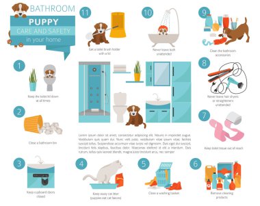 Köpek bakım ve güvenlik içinde senin ev. Nereye gidiyorsun? Evde beslenen hayvan köpek Infographic tasarım eğitim. Vektör çizim