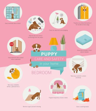 Köpek bakım ve güvenlik içinde senin ev. Yatak odası. Evde beslenen hayvan köpek Infographic tasarım eğitim. Vektör çizim