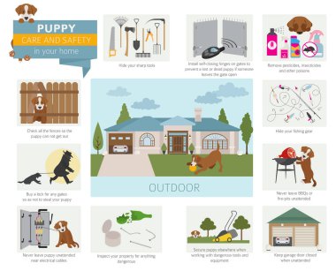 Köpek bakım ve güvenlik içinde senin ev. Açık. Evde beslenen hayvan köpek Infographic tasarım eğitim. Vektör çizim