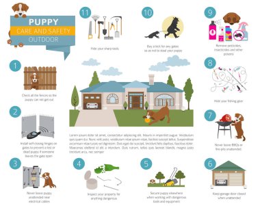 Köpek bakım ve güvenlik içinde senin ev. Açık. Evde beslenen hayvan köpek Infographic tasarım eğitim. Vektör çizim