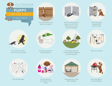 Köpek bakım ve güvenlik içinde senin ev. Açık. Evde beslenen hayvan köpek Infographic tasarım eğitim. Vektör çizim