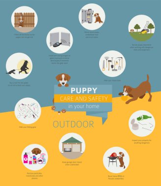Köpek bakım ve güvenlik içinde senin ev. Açık. Evde beslenen hayvan köpek Infographic tasarım eğitim. Vektör çizim