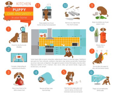 Puppy care and safety in your home. Kitchen. Pet dog training infographic design. Vector illustration clipart