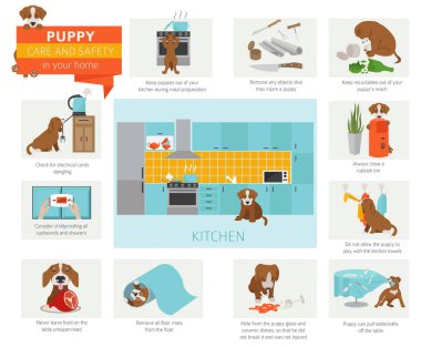 Puppy care and safety in your home. Kitchen. Pet dog training infographic design. Vector illustration clipart