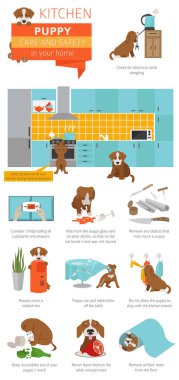 Köpek bakım ve güvenlik içinde senin ev. Mutfak. Evde beslenen hayvan köpek Infographic tasarım eğitim. Vektör çizim
