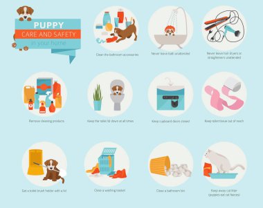 Puppy care and safety in your home. Bathroom. Pet dog training infographic design. Vector illustration clipart