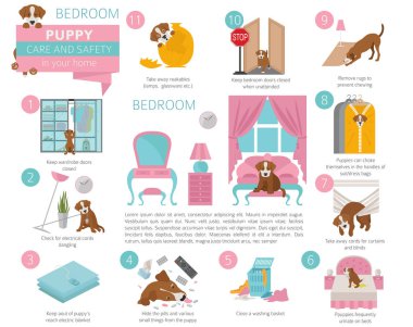 Puppy care and safety in your home. Bedroom. Pet dog training infographic design. Vector illustration clipart