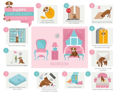 Köpek bakım ve güvenlik içinde senin ev. Yatak odası. Evde beslenen hayvan köpek Infographic tasarım eğitim. Vektör çizim