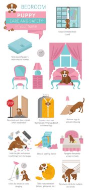 Köpek bakım ve güvenlik içinde senin ev. Yatak odası. Evde beslenen hayvan köpek Infographic tasarım eğitim. Vektör çizim