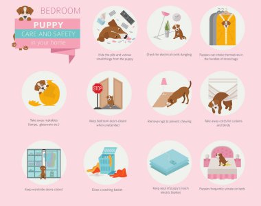 Puppy care and safety in your home. Bedroom. Pet dog training infographic design. Vector illustration clipart