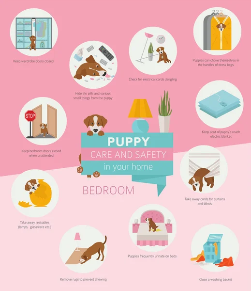 Cuidado Seguridad Del Cachorro Hogar Dormitorio Diseño Infográfico Entrenamiento Perros — Vector de stock