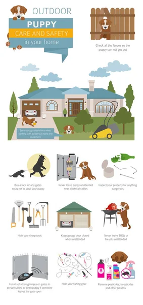 子犬ケアとあなたの家の安全性 ペット犬のインフォ グラフィック デザインのトレーニングします ベクトル図 — ストックベクタ