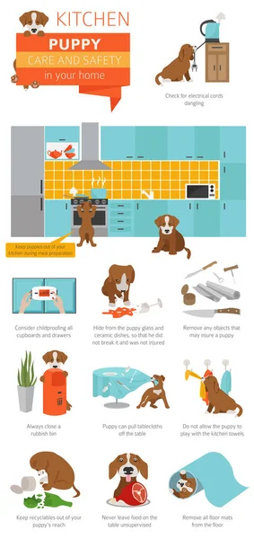 Puppy Care Safety Your Home Kitchen Pet Dog Training Infographic — Stock Vector