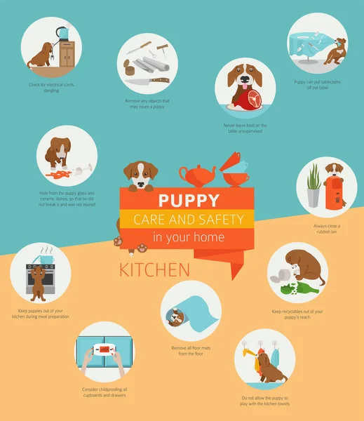 Welpenpflege Und Sicherheit Ihrem Zuhause Küche Infografik Zum Hundetraining Vektorillustration — Stockvektor