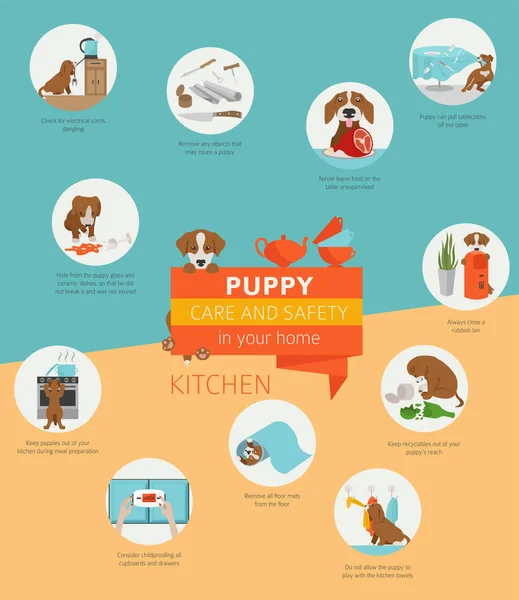 Köpek bakım ve güvenlik içinde senin ev. Mutfak. Evde beslenen hayvan köpek Infographic tasarım eğitim. Vektör çizim