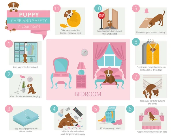 Szczeniak Opieki Bezpieczeństwa Domu Sypialnia Pies Szkolenia Projekt Infografikę Ilustracja — Wektor stockowy