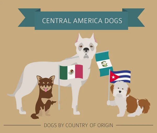 Собаки Странам Происхождения Латиноамериканские Породы Собак Инфографический Шаблон Векторная Иллюстрация — стоковый вектор