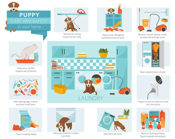 子犬ケアとあなたの家の安全性 ランドリー ペット犬のインフォ グラフィック デザインのトレーニングします ベクトル図 — ストックベクタ