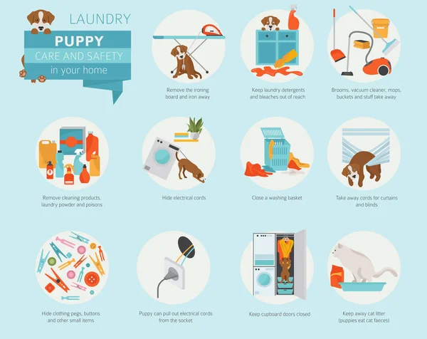 Köpek bakım ve güvenlik içinde senin ev. Çamaşırhane. Evde beslenen hayvan köpek Infographic tasarım eğitim. Vektör çizim