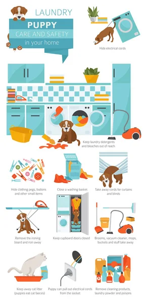 Puppy Care Safety Your Home Laundry Pet Dog Training Infographic — Stock Vector
