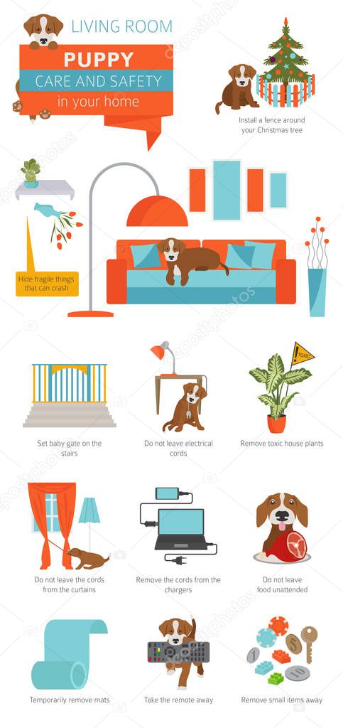 Puppy care and safety in your home. Living room. Pet dog training infographic design. Vector illustration