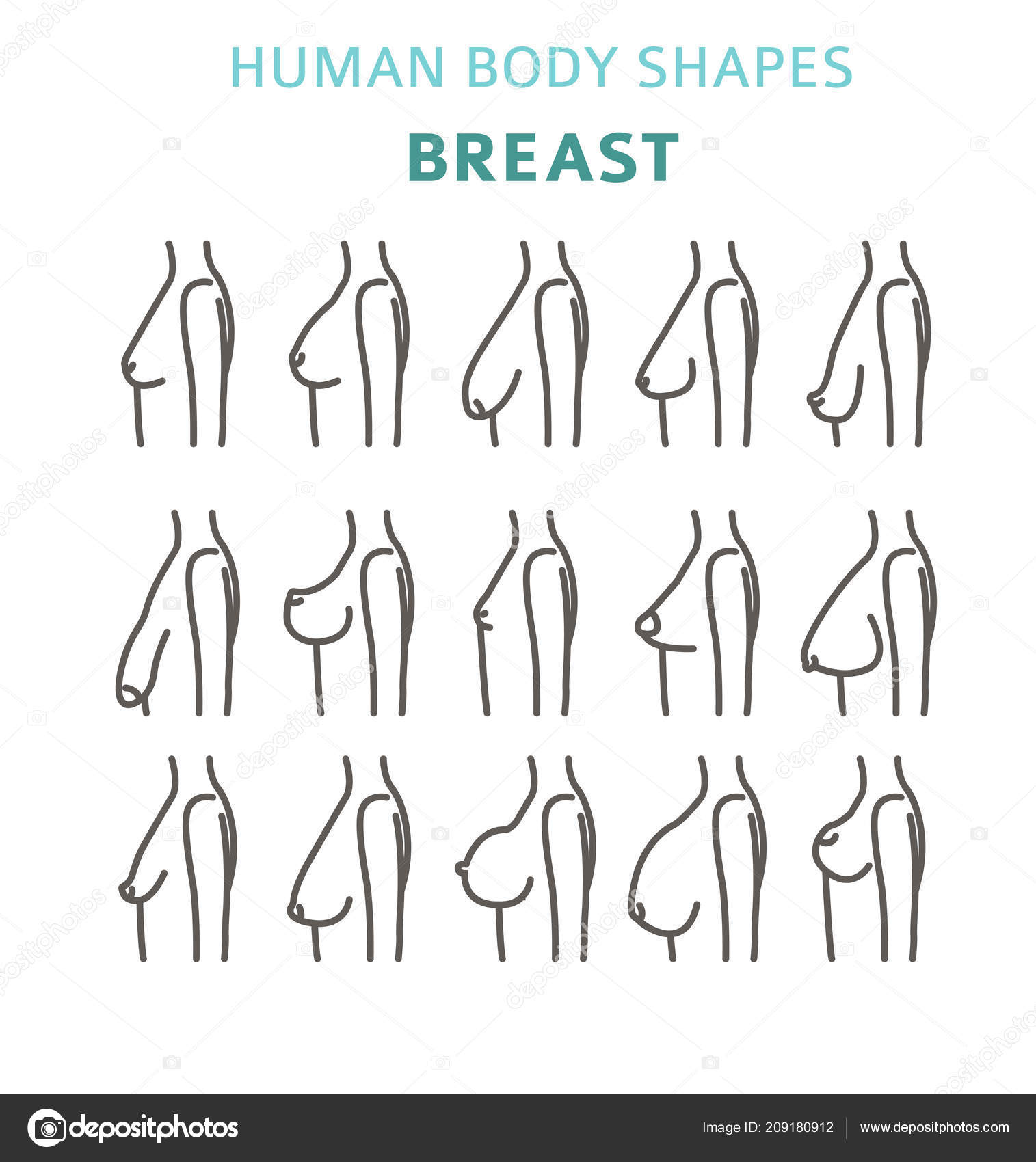 Human Body Shapes Woman Breast Form Set Vector Illustration