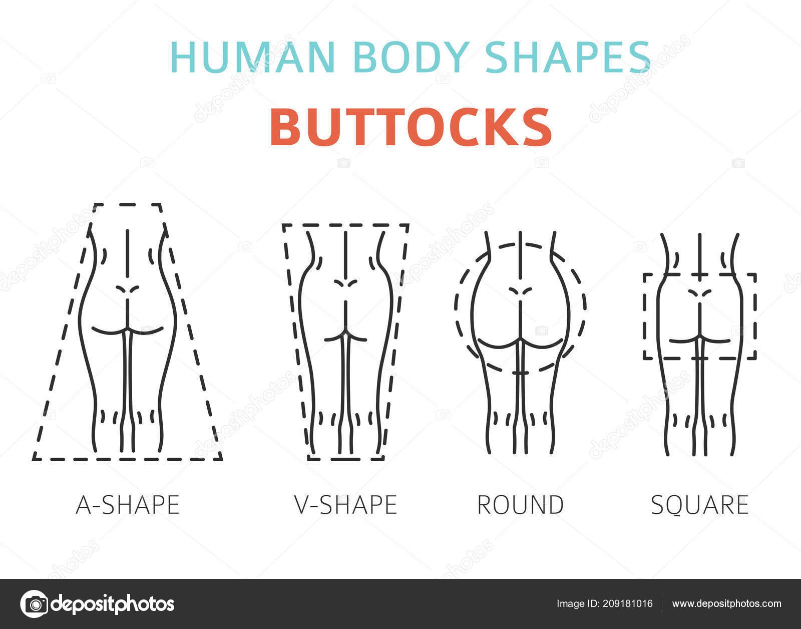 Human Body Shapes Woman Breast Form Set Vector Illustration Stock